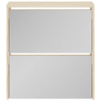 vidaXL Schuhschrank mit 2 Fächern Spiegel Eiche-Optik 63x17x67 cm