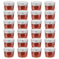 vidaXL Marmeladengläser mit Silbernen Deckeln 24 Stk. 110 ml