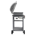 vidaXL Gasgrill mit Beistelltisch auf 3 Ebenen Silbern