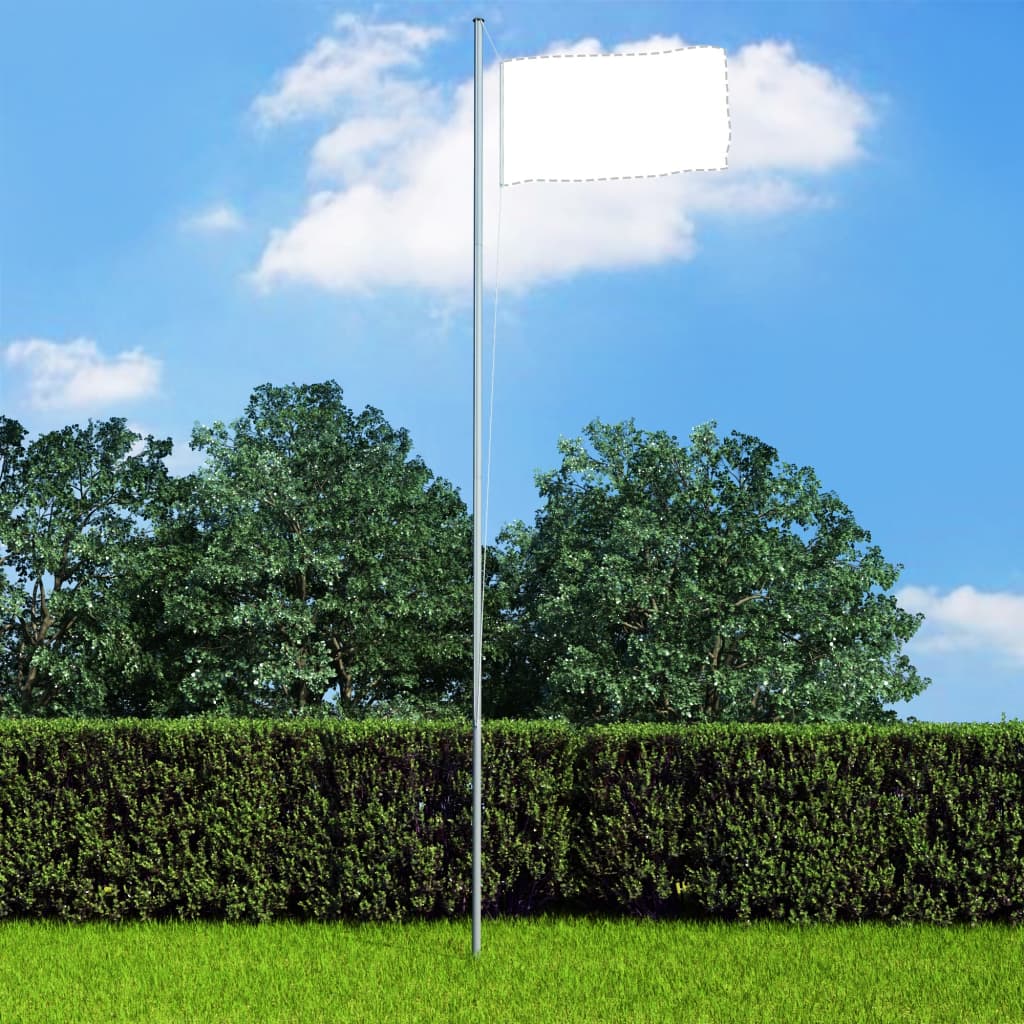 vidaXL Fahnenmast Aluminium 6,2 m