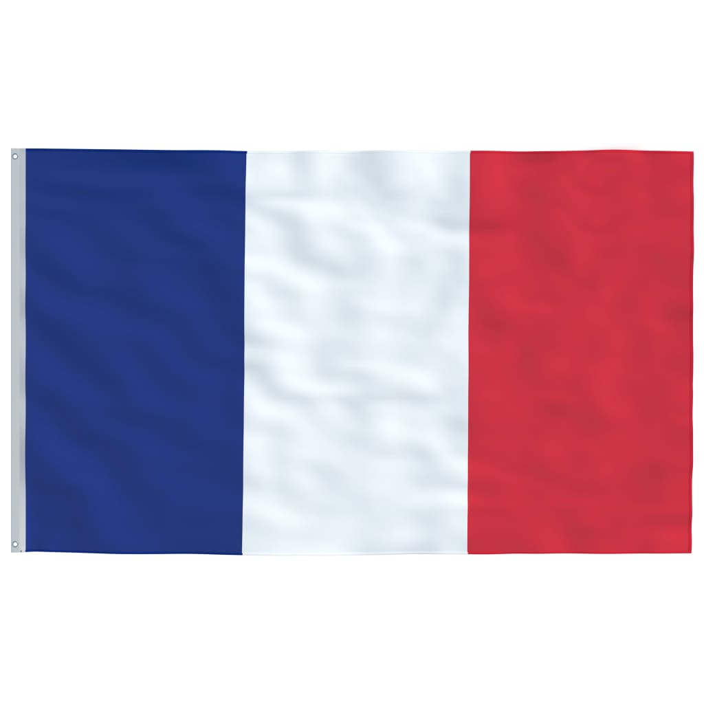 vidaXL Flagge Frankreichs 90 x 150 cm