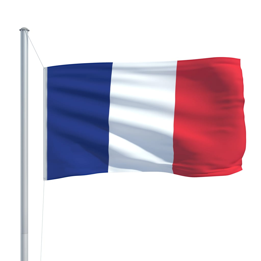 vidaXL Flagge Frankreichs 90 x 150 cm