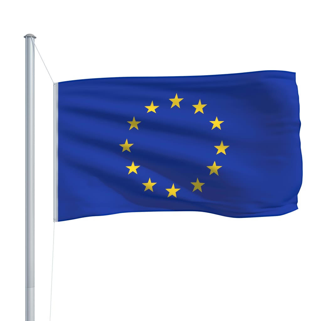 vidaXL Europaflagge 90 x 150 cm