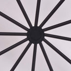 vidaXL Gewächshaus Aluminium 240×211×232 cm