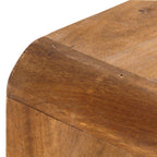 vidaXL TV-Schrank Massivholz Mango
