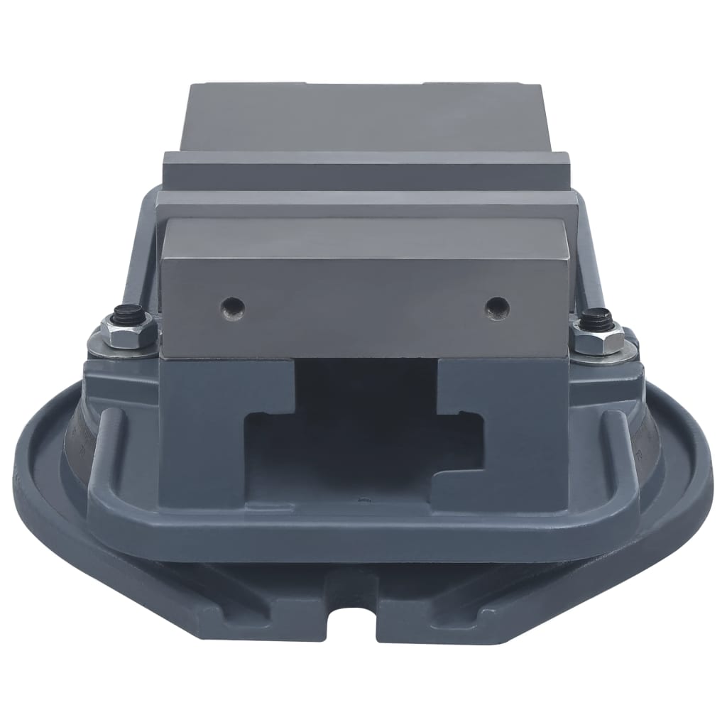 vidaXL Drehtisch-Schraubstock Gusseisen 160 mm