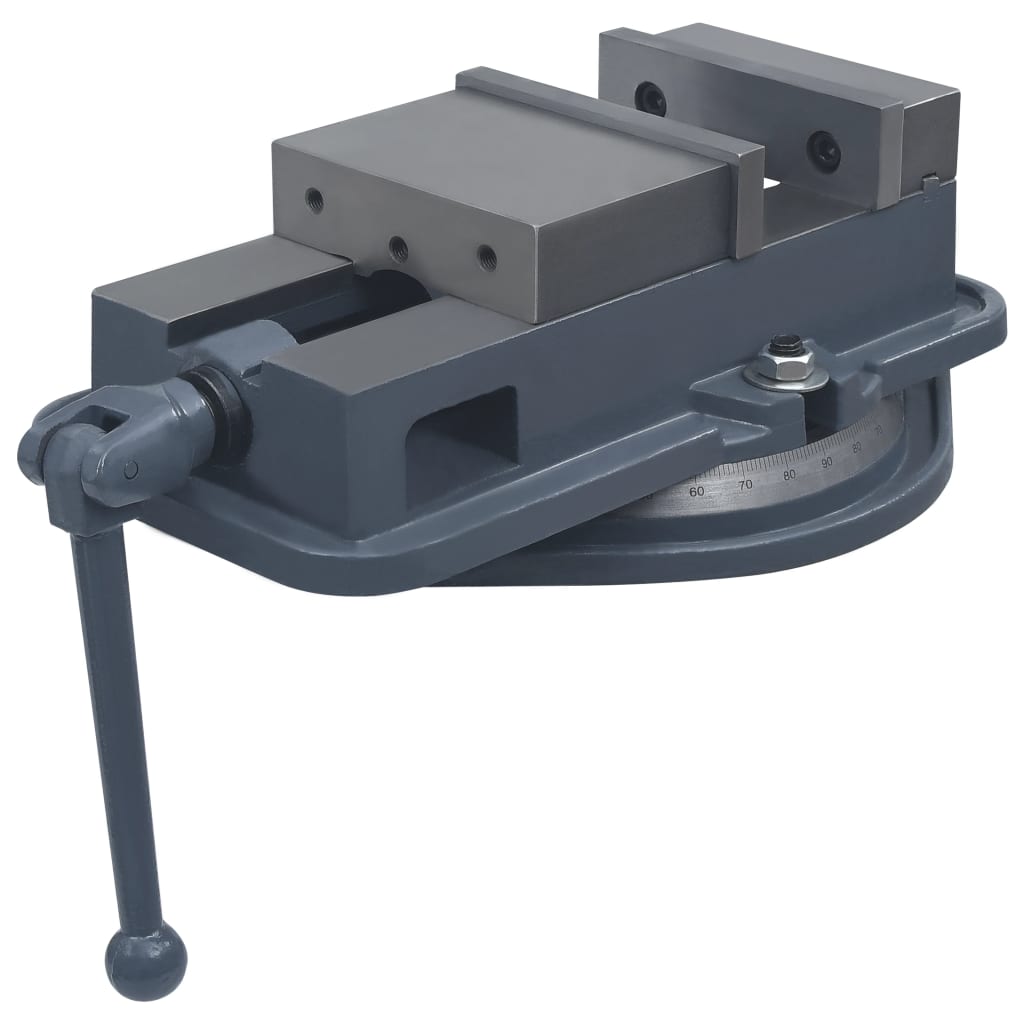 vidaXL Drehtisch-Schraubstock Gusseisen 160 mm