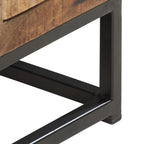 vidaXL TV-Schrank 120x30x40 cm Altholz Massiv