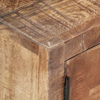 vidaXL TV-Schrank 120x30x40 cm Altholz Massiv