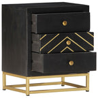 vidaXL Nachttisch Schwarz und Golden 40 x 30 x 50 cm Mango Massivholz