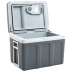 vidaXL Thermoelektrische Kühlbox Mobil 40 L 12V 230V E