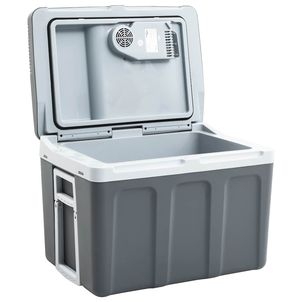 vidaXL Thermoelektrische Kühlbox Mobil 40 L 12V 230V E