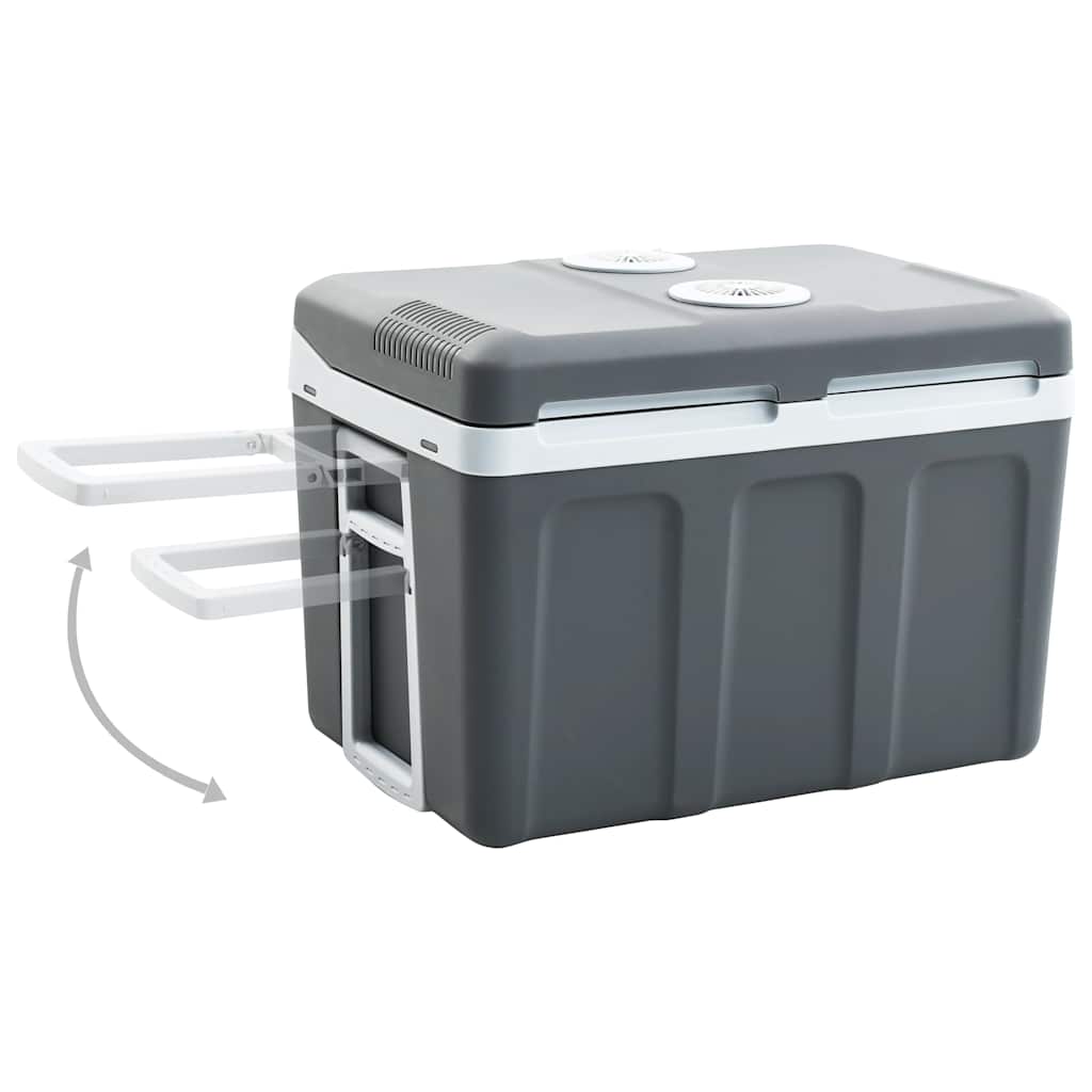 vidaXL Thermoelektrische Kühlbox Mobil 40 L 12V 230V E