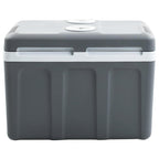 vidaXL Thermoelektrische Kühlbox Mobil 40 L 12V 230V E