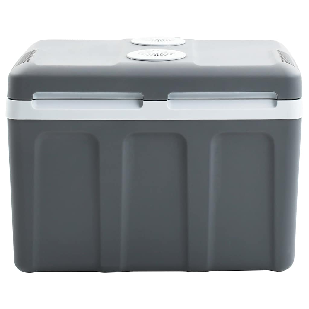 vidaXL Thermoelektrische Kühlbox Mobil 40 L 12V 230V E