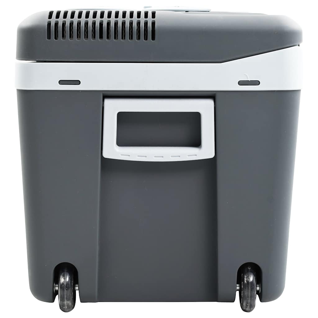 vidaXL Thermoelektrische Kühlbox Mobil 40 L 12V 230V E