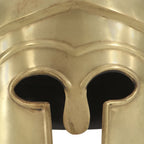 vidaXL Griechischer Krieger-Helm Antik Replik für LARP Messing Stahl