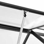 vidaXL Gewächshaus Anthrazit Aluminium 4,75 m²
