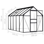 vidaXL Gewächshaus Anthrazit Aluminium 5,89 m²