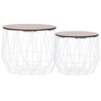 vidaXL Couchtische 2 Stk. Weiß