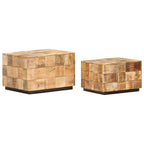 vidaXL Couchtische 2 Stk. in Block-Design Raues Mango-Massivholz