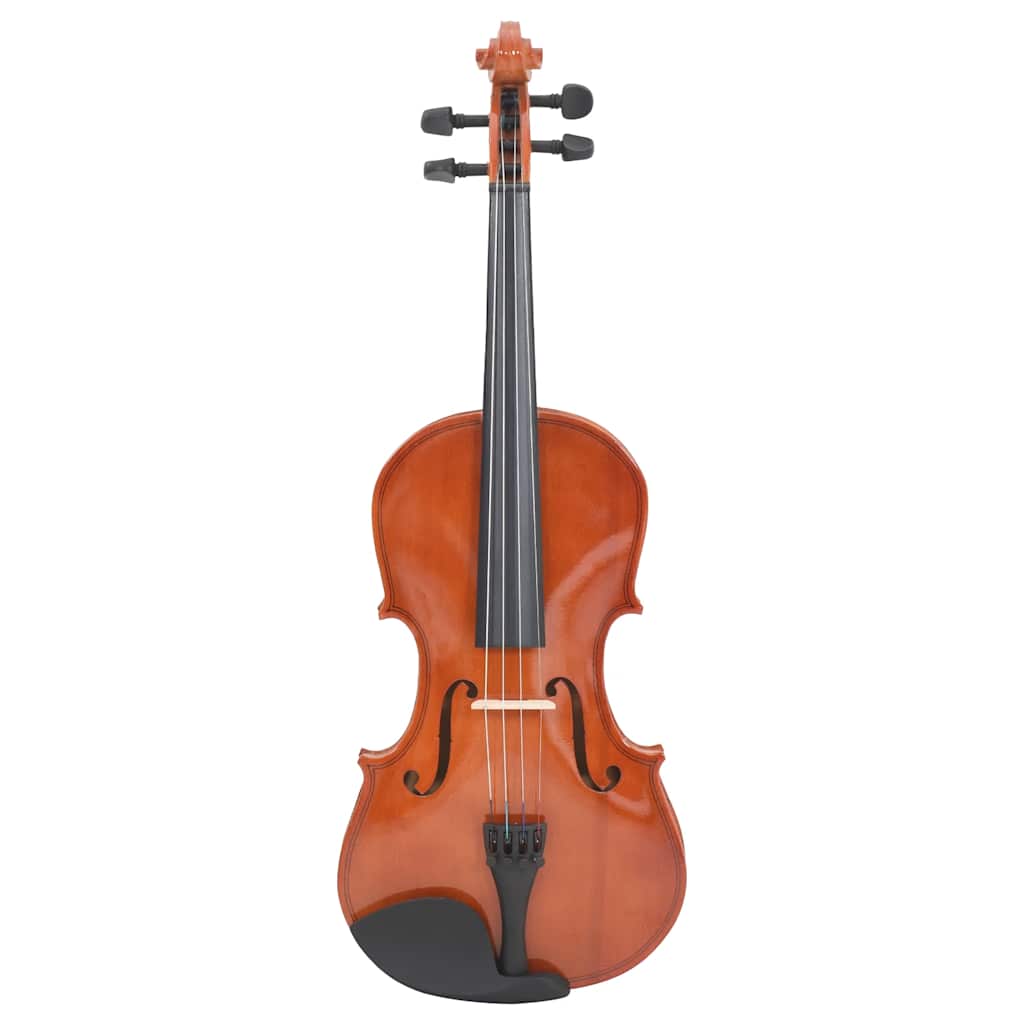 vidaXL Violine Komplettset mit Bogen und Kinnhalter Dunkles Holz 4/4