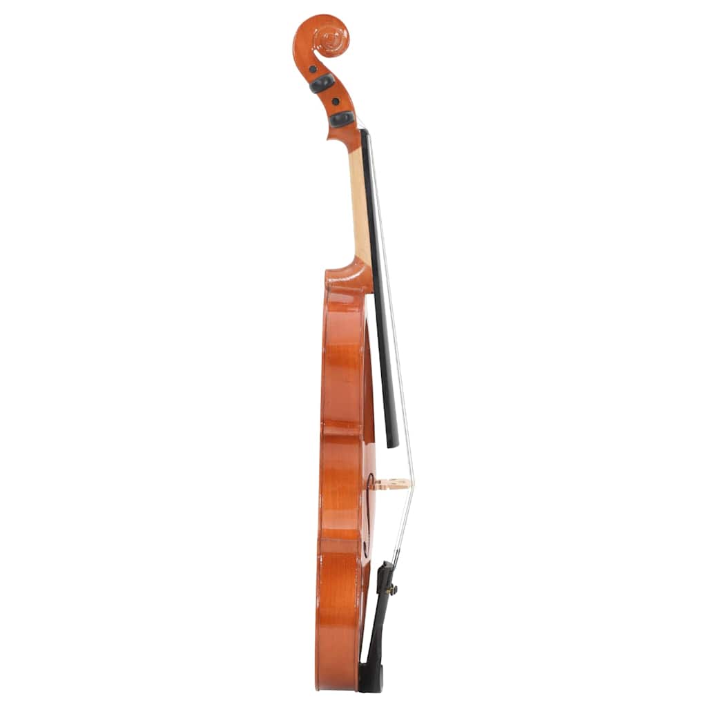 vidaXL Violine Komplettset mit Bogen und Kinnhalter Dunkles Holz 4/4
