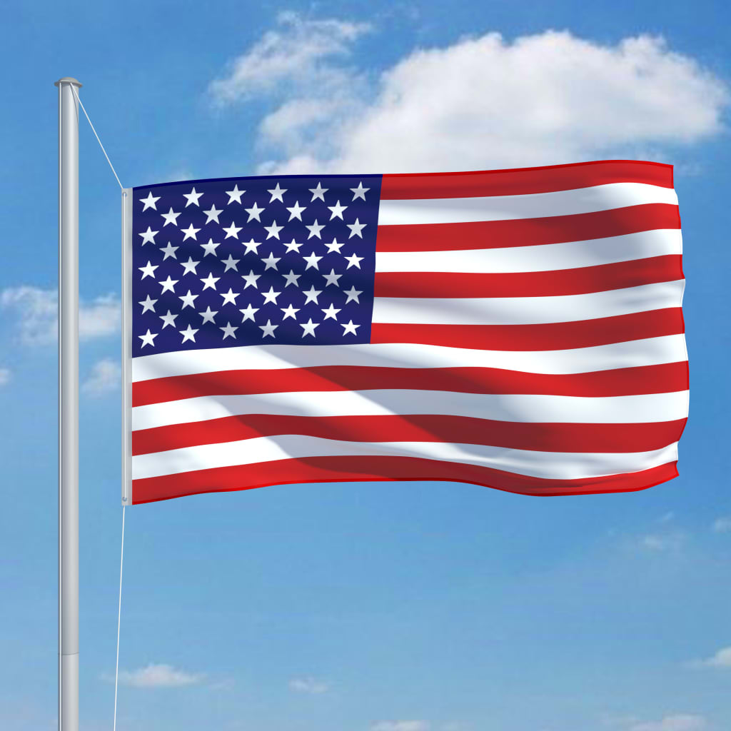 vidaXL Flagge der Vereinigten Staaten und Mast Aluminium 6,2 m