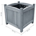 vidaXL Garten-Hochbeete 2 Stk. 30x30x30 cm Massivholz Tanne