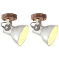 vidaXL Wand-/Deckenlampen Industriestil 2 Stk. Silbern 20x25 cm E27