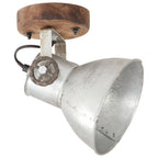 vidaXL Wand-/Deckenlampen Industriestil 2 Stk. Silbern 20x25 cm E27