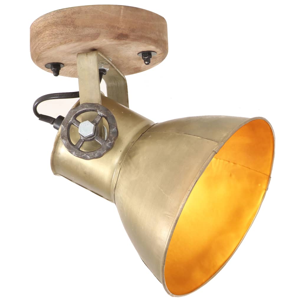 vidaXL Wand-/Deckenlampen Industriestil 2 Stk. Messing 20x25 cm E27