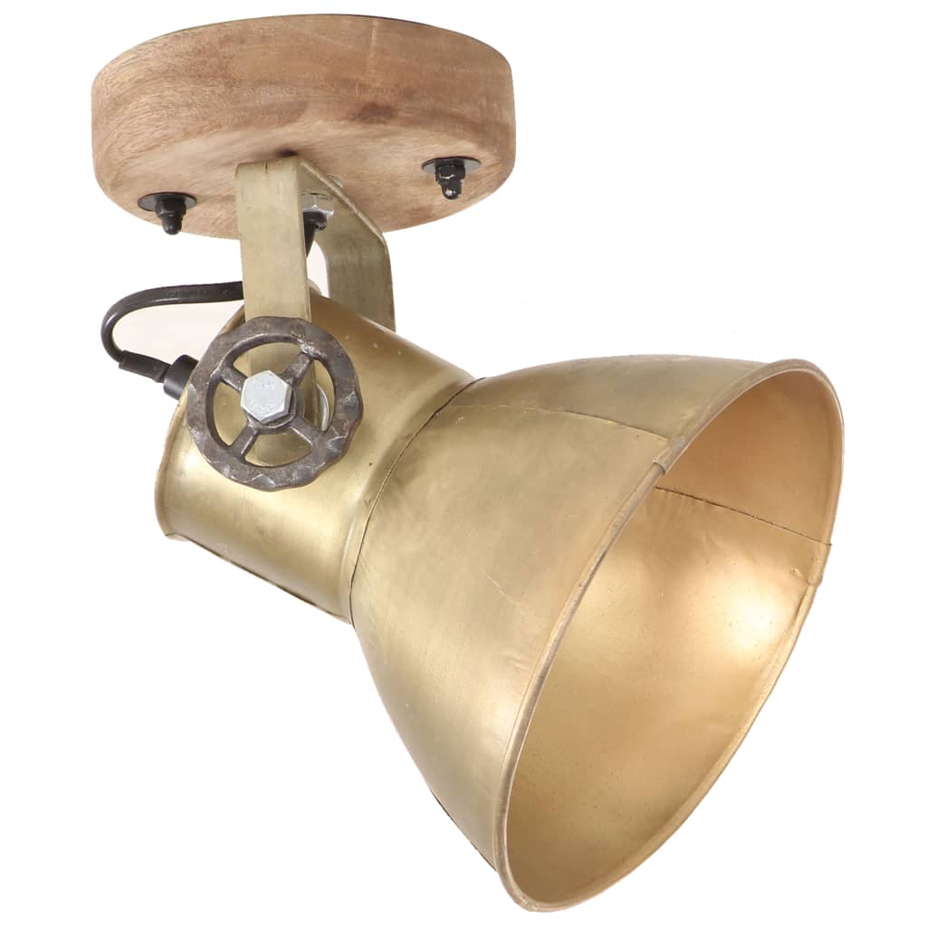 vidaXL Wand-/Deckenlampen Industriestil 2 Stk. Messing 20x25 cm E27