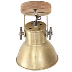 vidaXL Wand-/Deckenlampen Industriestil 2 Stk. Messing 20x25 cm E27