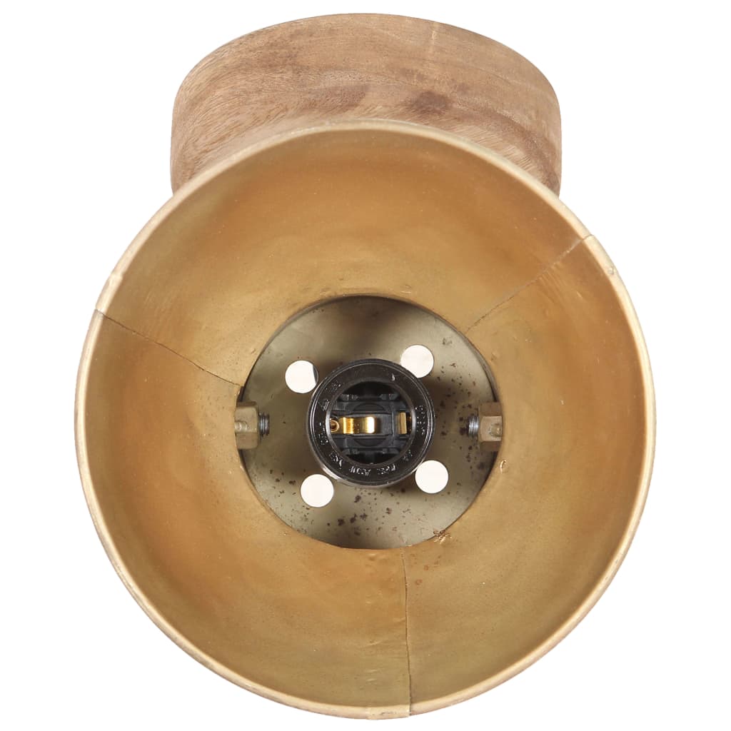 vidaXL Wand-/Deckenlampen Industriestil 2 Stk. Messing 20x25 cm E27
