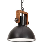 vidaXL Hängelampe Industriestil 25 W Schwarz Rund 30 cm E27
