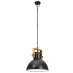 vidaXL Hängelampe Industriestil 25 W Schwarz Rund 30 cm E27