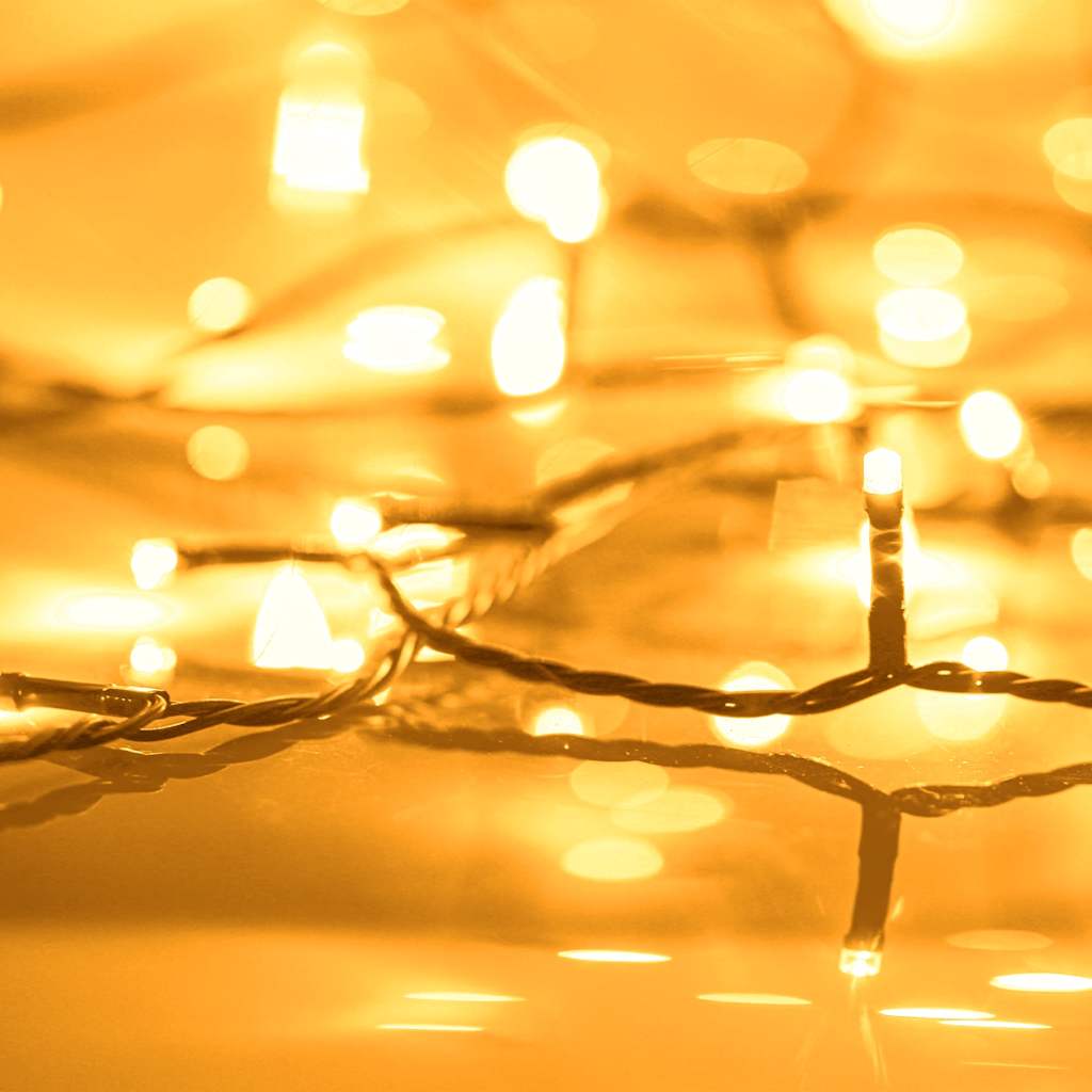 vidaXL Lichterkette mit 2000 LEDs Indoor & Outdoor 200m IP44 Warmweiß