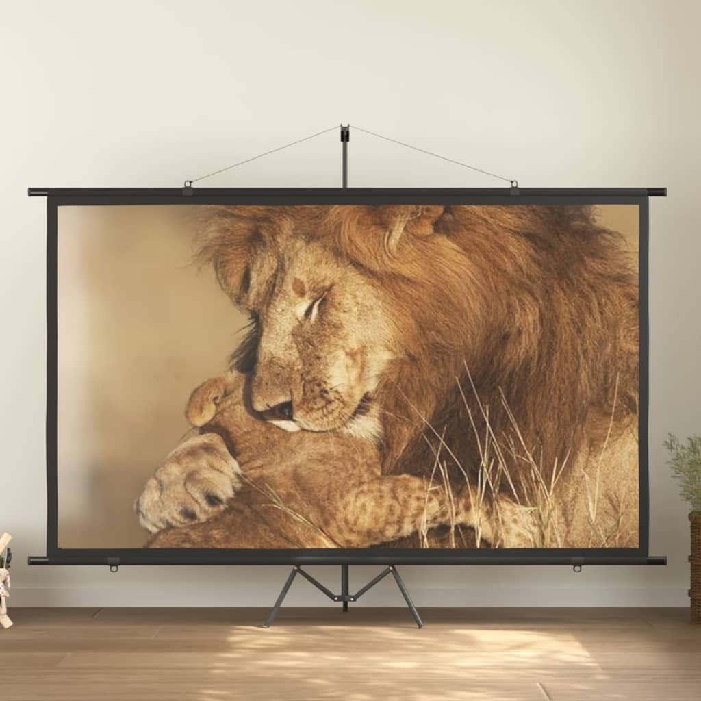 vidaXL Beamer Leinwand 120 16:9