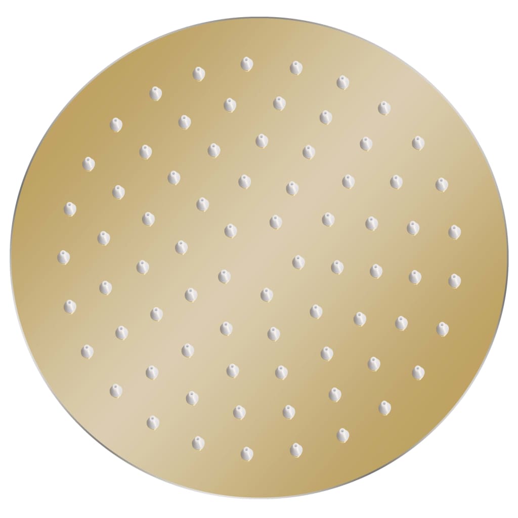 vidaXL Regenbrause Edelstahl 20 cm Rund Golden