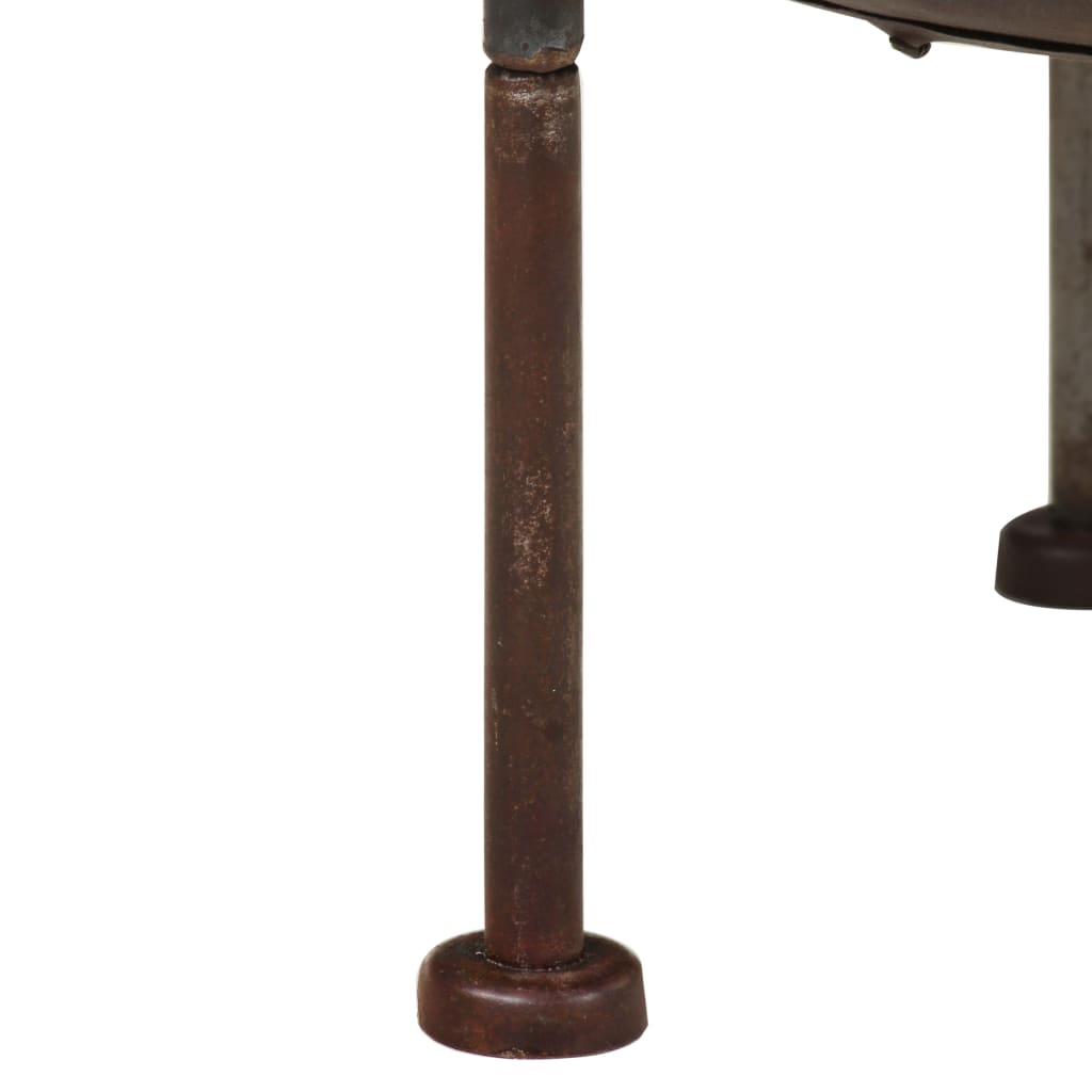 vidaXL Rustikale Feuerstelle Ø 40 cm Eisen
