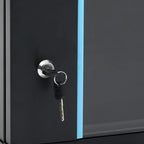 vidaXL 4U Netzwerkschrank Wandmontage 19" IP20