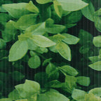vidaXL Garten-Sichtschutz PVC 35x0,19 m Grün