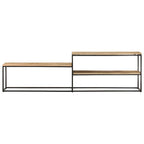 vidaXL TV-Schrank 180x30x50 cm Raues Mangoholz