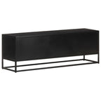 vidaXL TV-Schrank 120x30x40 cm Raues Mangoholz