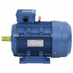 vidaXL 3-Phasen-Elektromotor Aluminium 3 kW 4 PS 2-Polig 2840 U/min