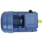vidaXL 3-Phasen-Elektromotor Aluminium 4 kW 5,5 PS 2-Polig 2840 U/min