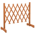vidaXL Garten-Rankzaun Orange 120x60 cm Massivholz Tanne