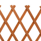 vidaXL Garten-Rankzaun Orange 120x60 cm Massivholz Tanne