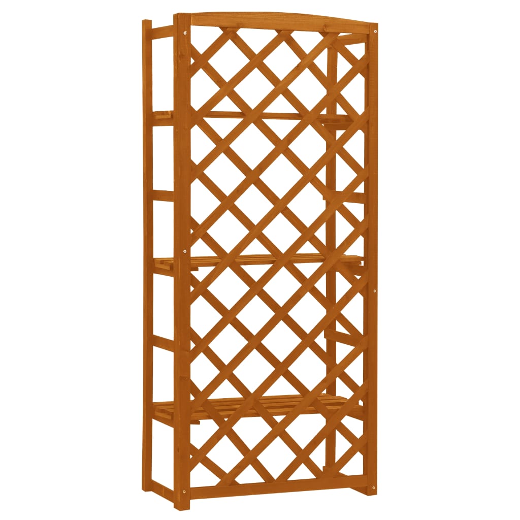 vidaXL Regal-Rankgitter Orange 60x30x140 cm Massivholz Tanne